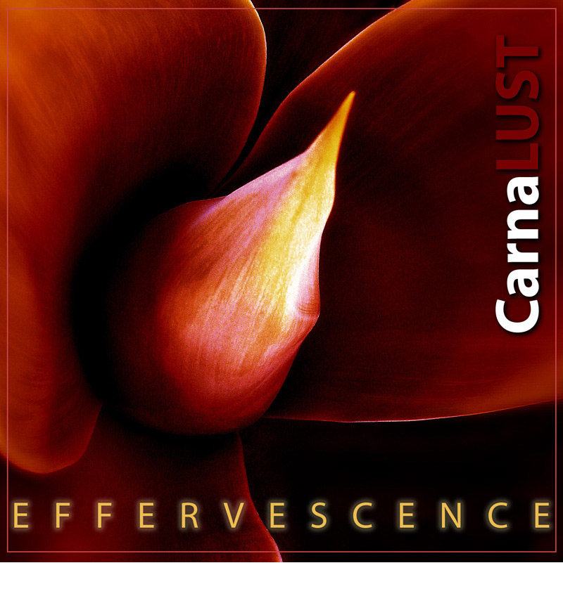 Photography by nowheregirl for DesignCrowd (Community Contests) | Design #9038539