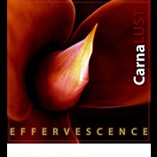 Photography by nowheregirl