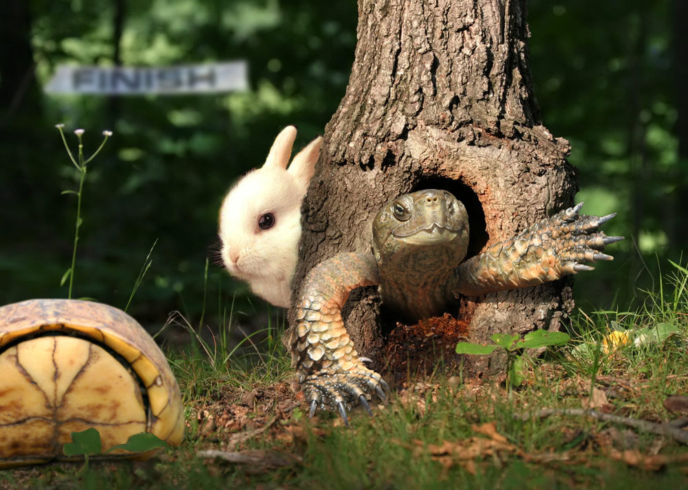 Photoshop-Design von Sassydeb für DesignCrowd (Community Contests) | Design #9035209