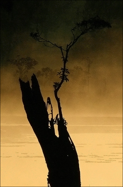 Photographie par mated1976 pour DesignCrowd (Community Contests) | Design #9035916