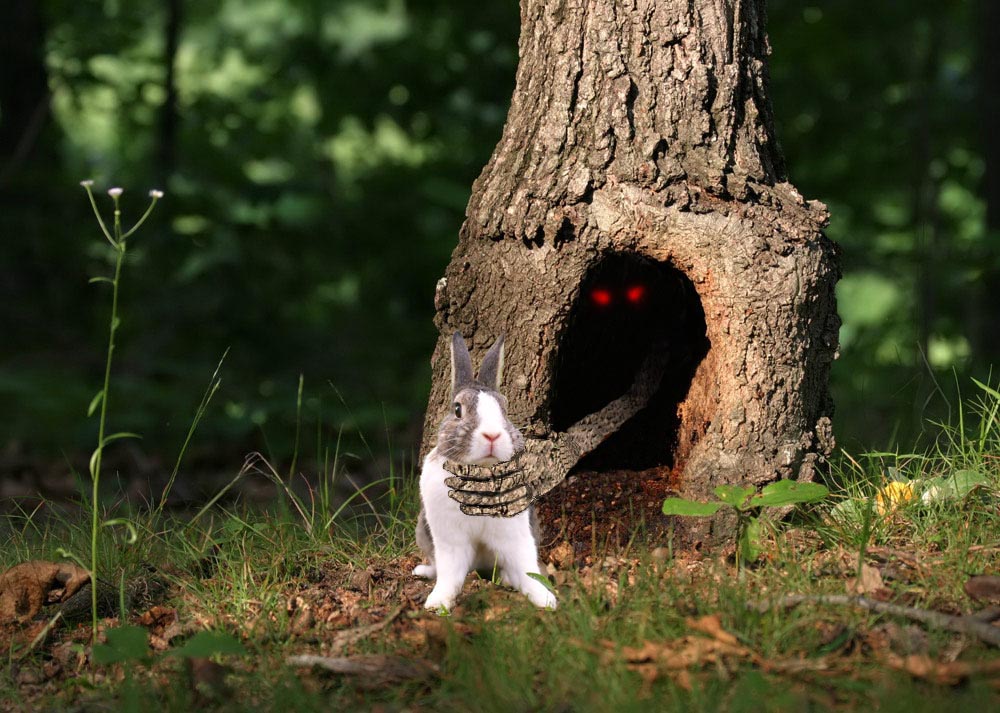 Photoshop Design by thedragon01 for DesignCrowd (Community Contests) | Design #9035252