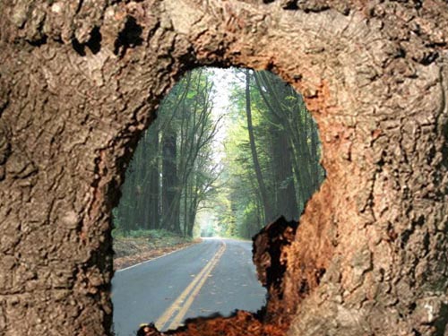 Photoshop Design by dfwsusan for DesignCrowd (Community Contests) | Design #9035227