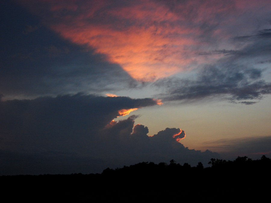 Fotografía por Milkbeard para DesignCrowd (Community Contests) | Diseño #9035993