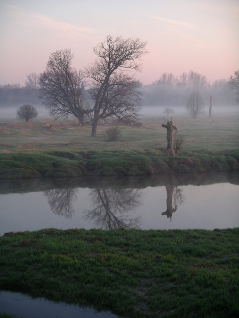 Photographie par Ajudith pour DesignCrowd (Community Contests) | Design #9035928