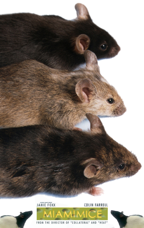 Photoshop Design by 02browns for DesignCrowd (Community Contests) | Design #9037935