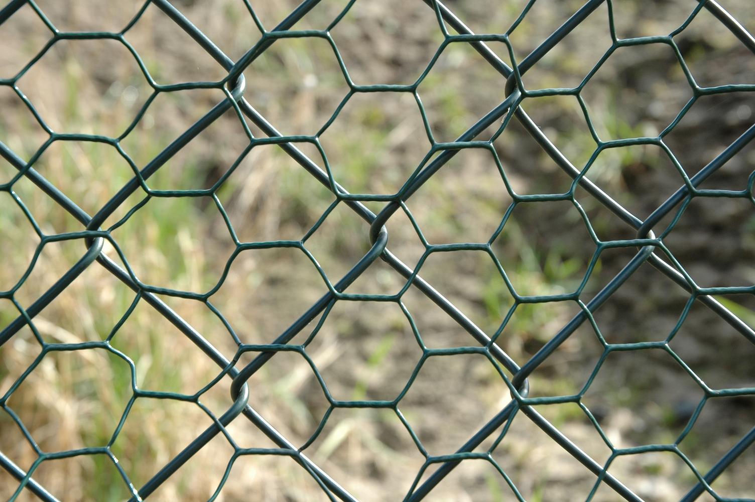 Photography by RealArt for DesignCrowd (Community Contests) | Design #9039160