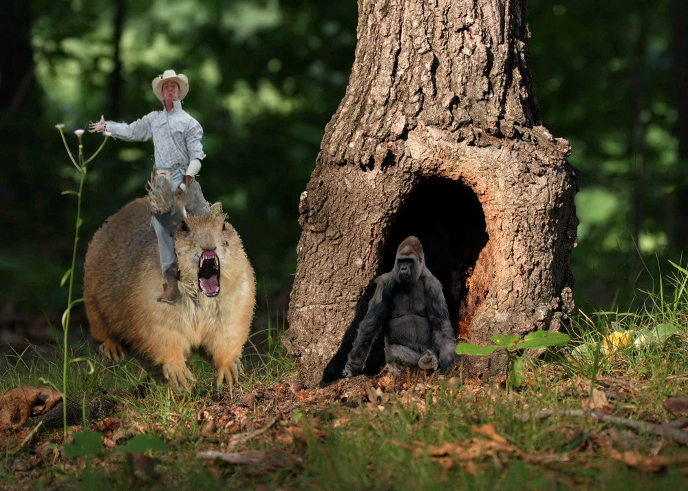 Photoshop-Design von ballnclaw für DesignCrowd (Community Contests) | Design #9035259