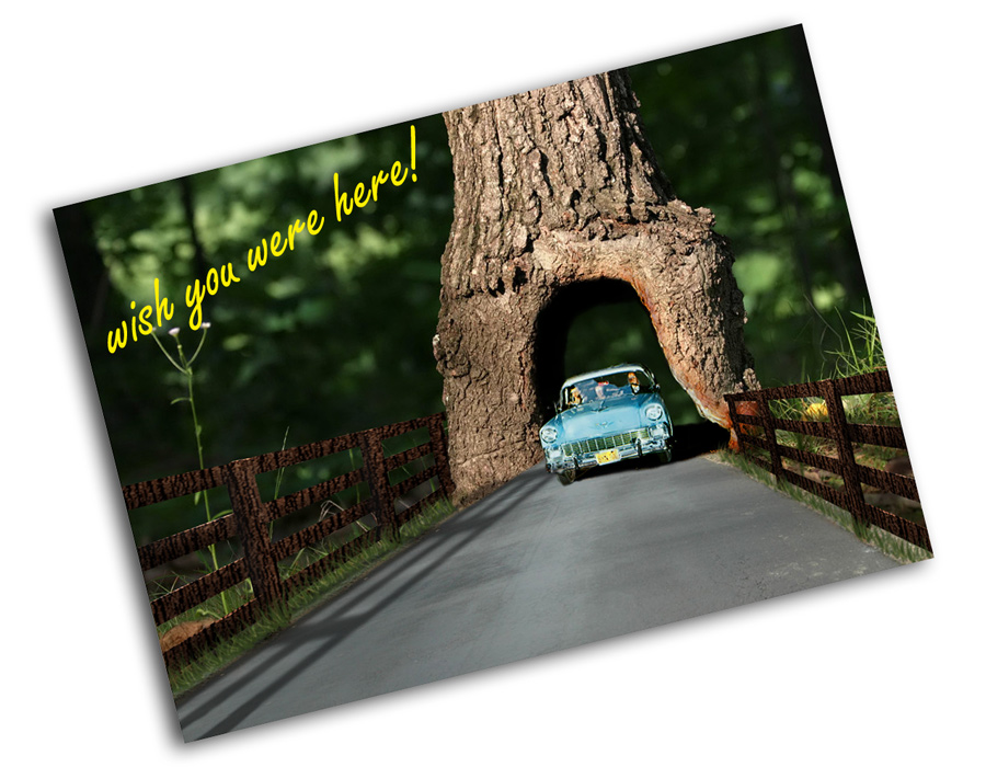 Photoshop Design by benchong for DesignCrowd (Community Contests) | Design #9035290