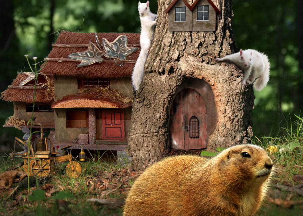Photoshop Design by SantaWorks for DesignCrowd (Community Contests) | Design #9035300