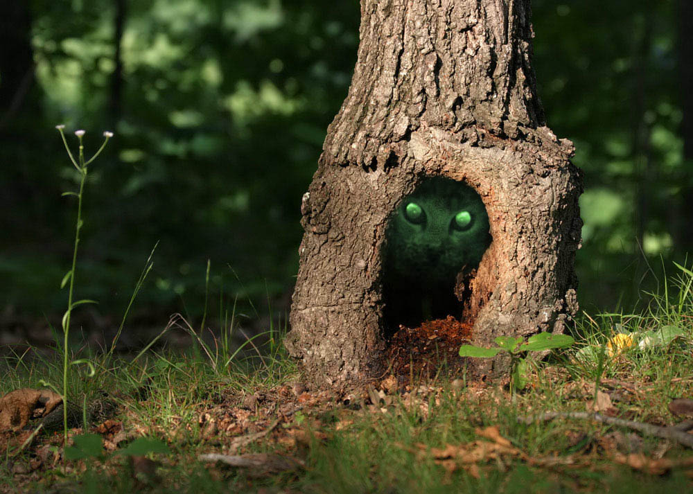 Photoshop Design by jip102 for DesignCrowd (Community Contests) | Design #9035264