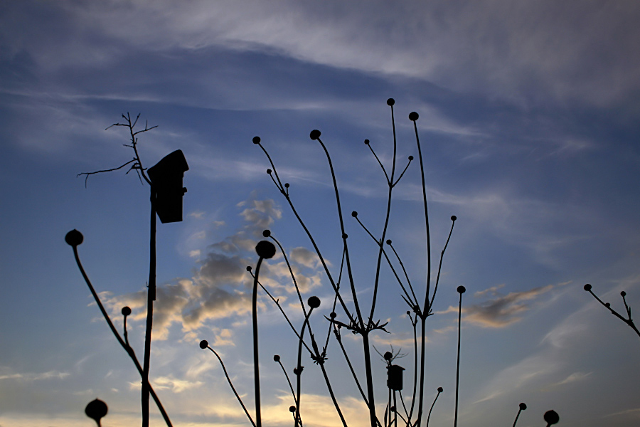 Photography by aquario for DesignCrowd (Community Contests) | Design #9036029