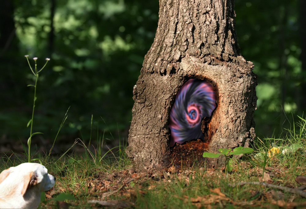 Photoshop Design by nickhelton for DesignCrowd (Community Contests) | Design #9035354