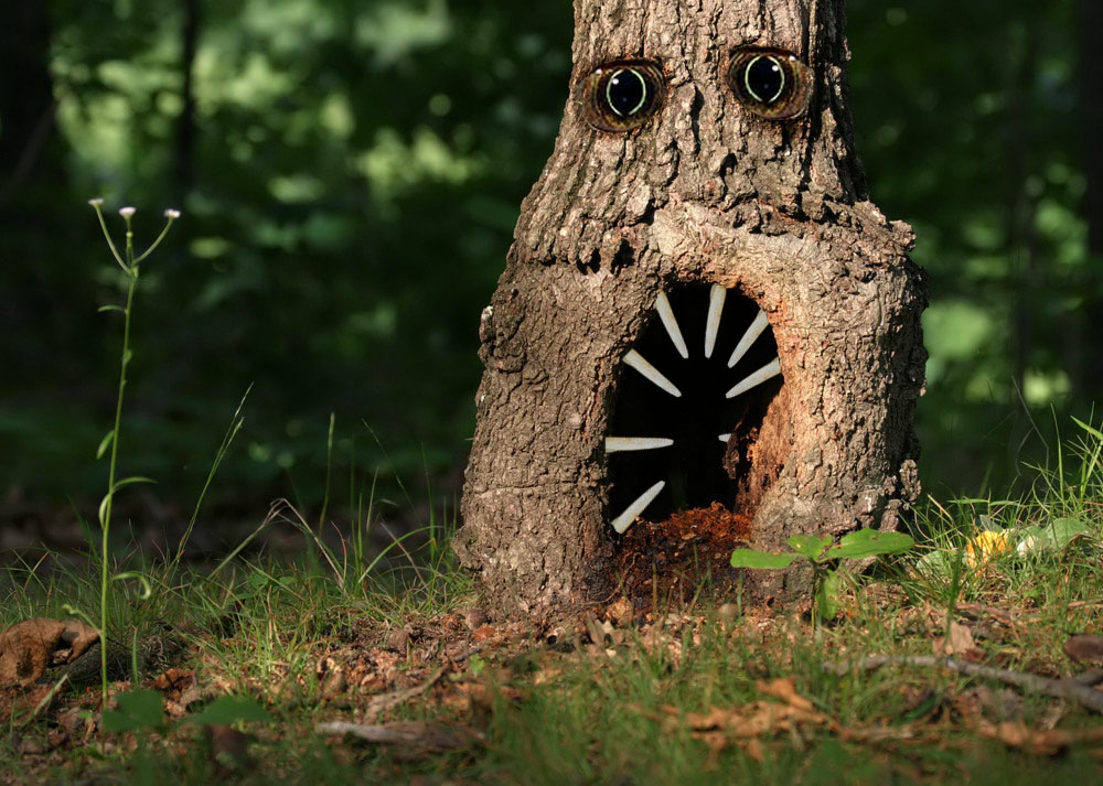 Design Photoshop par howshouldiknow pour DesignCrowd (Community Contests) | Design #9035360