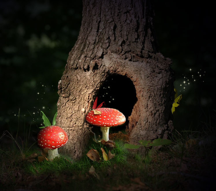 Photoshop Design by cappyjo for DesignCrowd (Community Contests) | Design #9035355