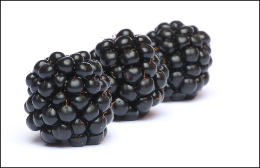 Photographie par krusa8 pour DesignCrowd (Community Contests) | Design #9039488