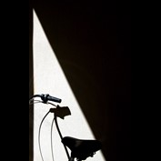 Photography by Ronbrandt