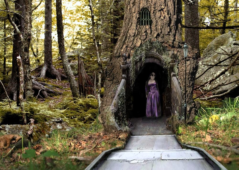 Diseño de Photoshop por Louweasel para DesignCrowd (Community Contests) | Diseño #9035342