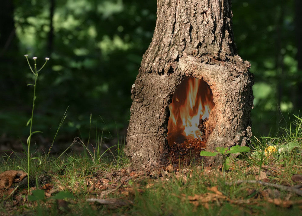 Design Photoshop par BerlinBear pour DesignCrowd (Community Contests) | Design #9035389