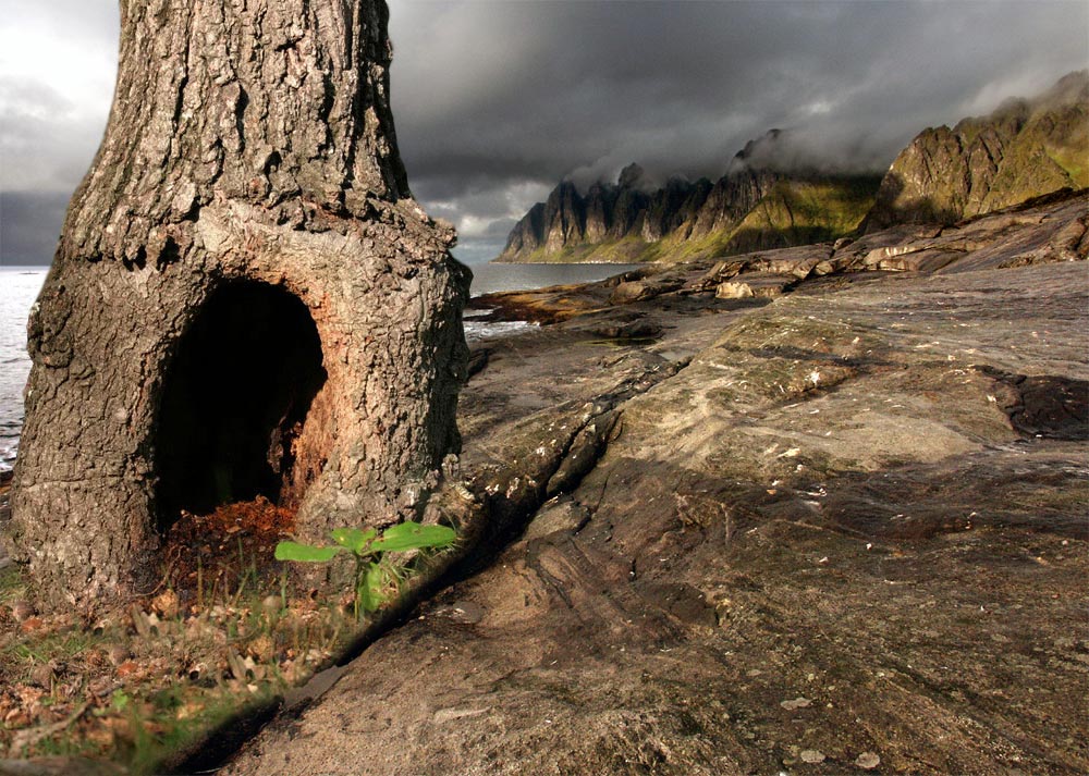 Photoshop Design by elchkuh for DesignCrowd (Community Contests) | Design #9035380