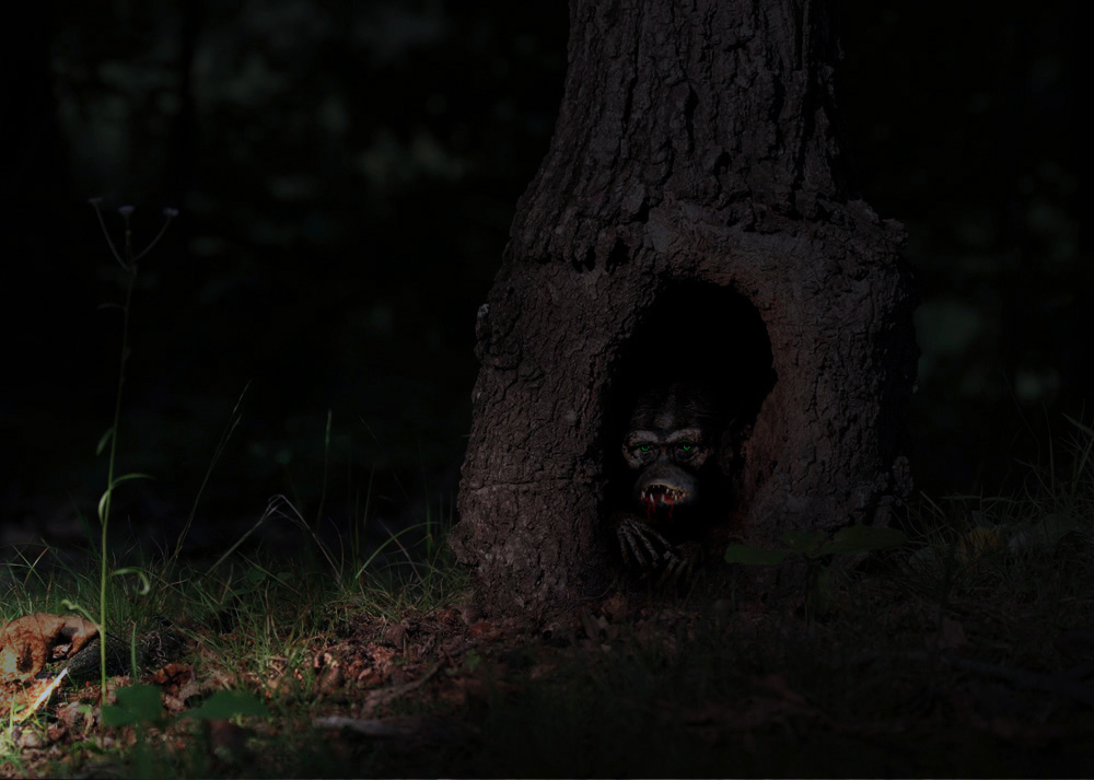 Photoshop Design by dfurlong for DesignCrowd (Community Contests) | Design #9035430