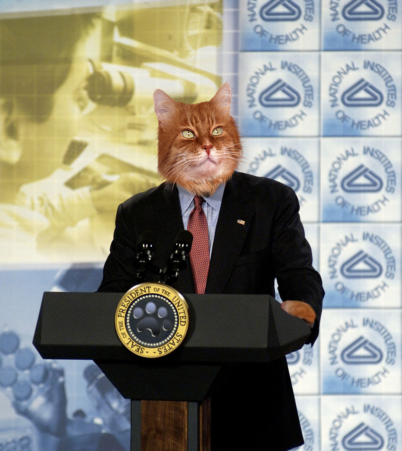 Photoshop Design by benchong for DesignCrowd (Community Contests) | Design #9037222