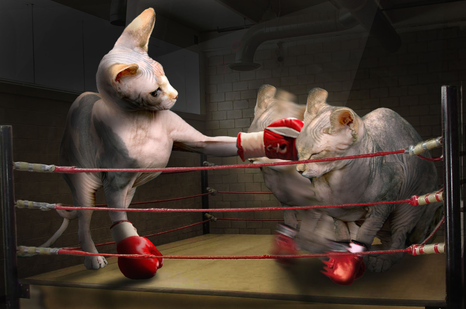 Photoshop-Design von sizzlar für DesignCrowd (Community Contests) | Design #9037247