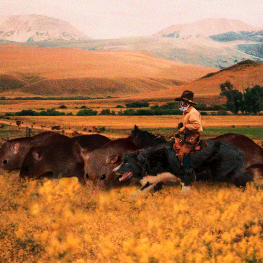 Diseño de Photoshop por Zetape para DesignCrowd (Community Contests) | Diseño #9037230