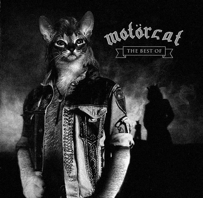 Diseño de Photoshop por akanai para DesignCrowd (Community Contests) | Diseño #9037280