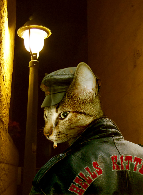 Design Photoshop par Anabole pour DesignCrowd (Community Contests) | Design #9037256