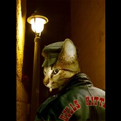 Photoshop Design by Anabole