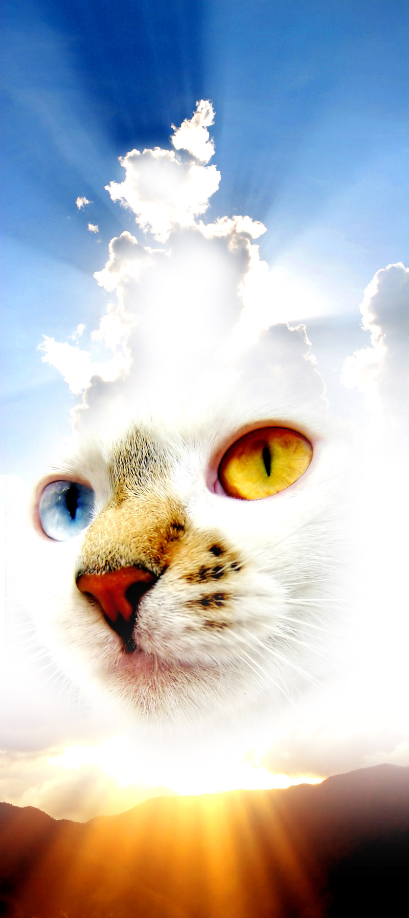 Design Photoshop par davidberettaowens pour DesignCrowd (Community Contests) | Design #9037274