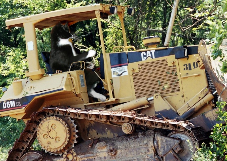 Diseño de Photoshop por Spudley99 para DesignCrowd (Community Contests) | Diseño #9037285