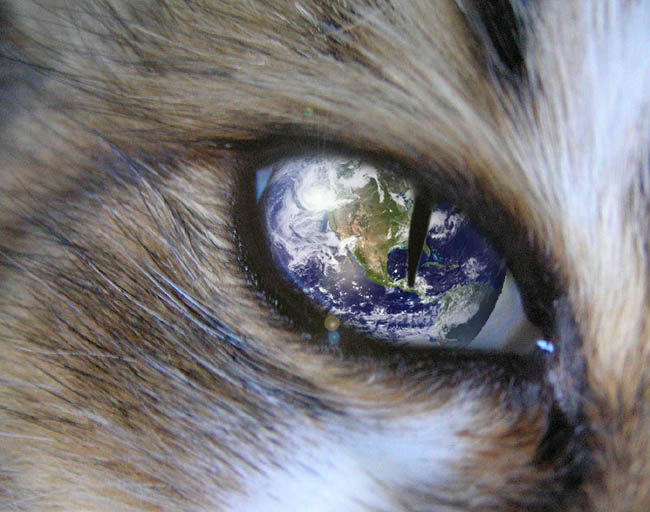 Design Photoshop par CRAZYLEGGSROGERS pour DesignCrowd (Community Contests) | Design #9037269