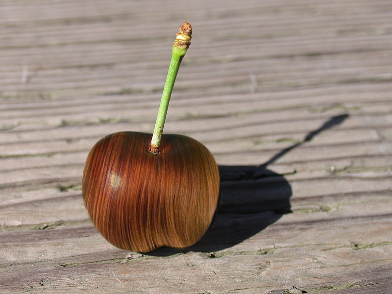 Photoshop Design by jesterbryanc for DesignCrowd (Community Contests) | Design #9028137