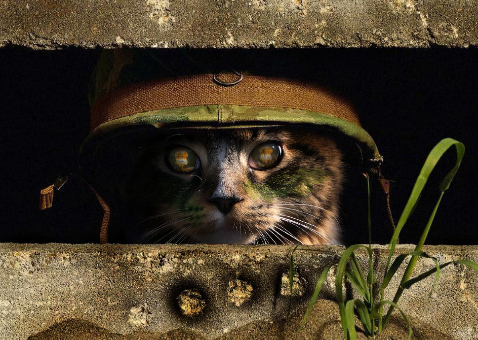 Design Photoshop par reneehiggs pour DesignCrowd (Community Contests) | Design #9037301