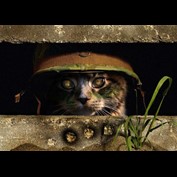 Photoshop Design by reneehiggs