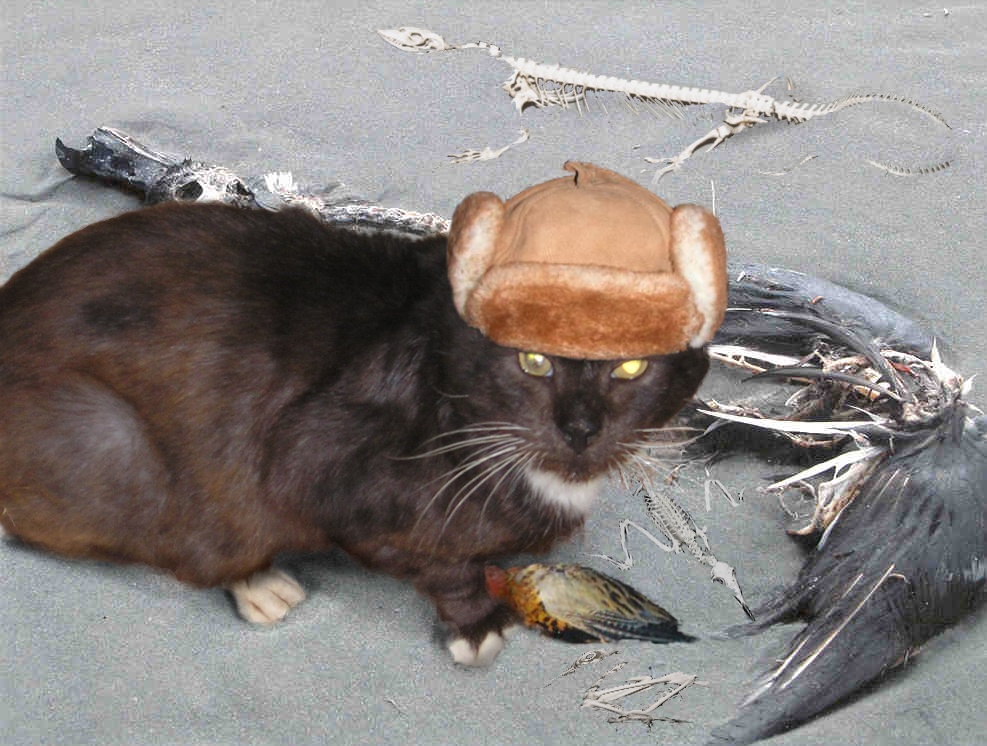 Diseño de Photoshop por Louweasel para DesignCrowd (Community Contests) | Diseño #9037298