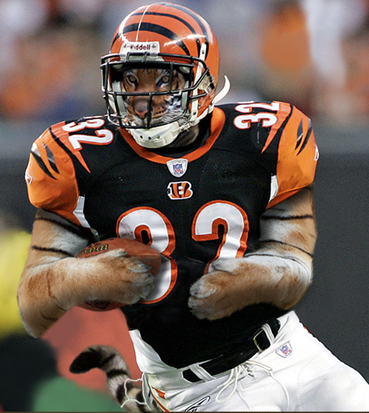 Design Photoshop par Calaveras pour DesignCrowd (Community Contests) | Design #9037359