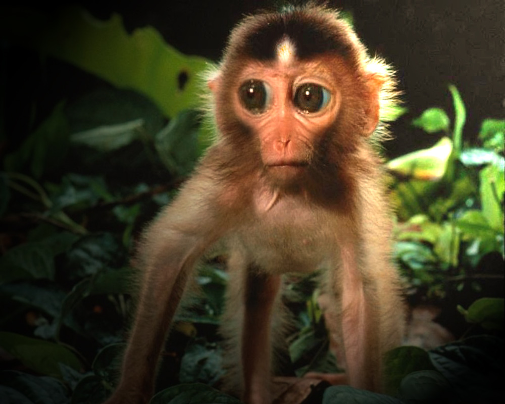 Design Photoshop par TheGr8TGatsby67 pour DesignCrowd (Community Contests) | Design #9037360