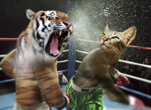 Photoshop Design by fredreis for DesignCrowd (Community Contests) | Design #9037396