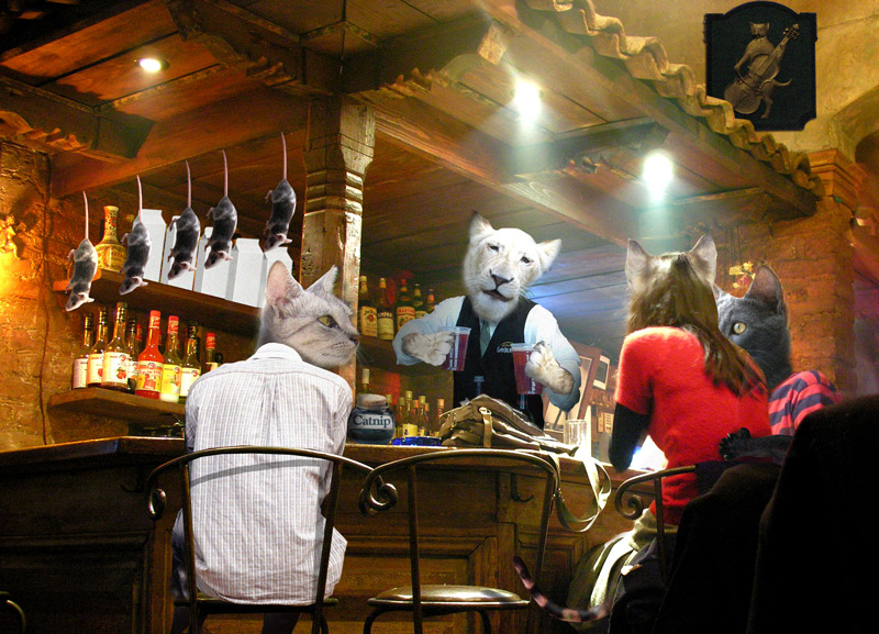 Photoshop Design by Sassydeb for DesignCrowd (Community Contests) | Design #9037503