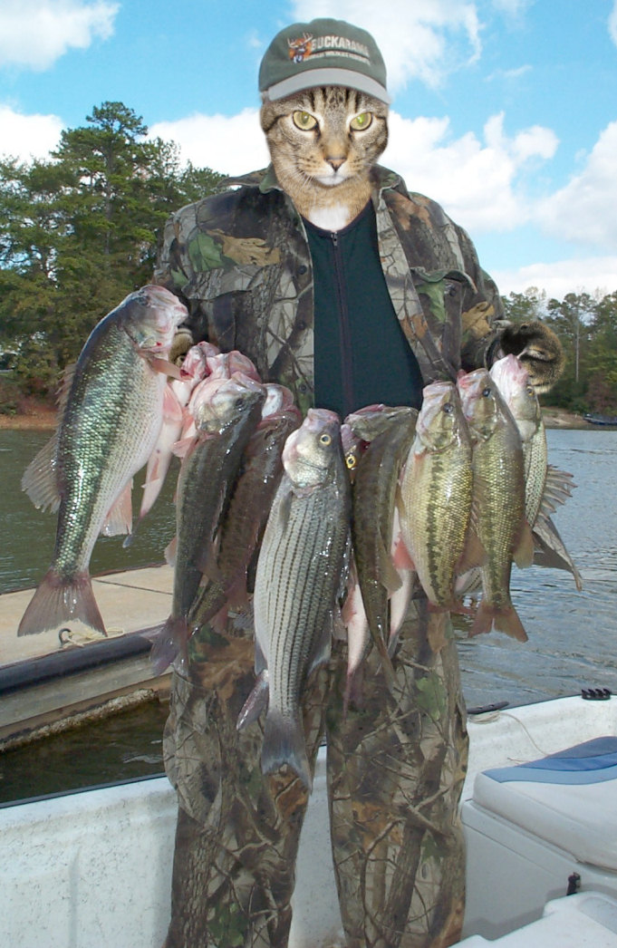 Photoshop-Design von Hobbit90 für DesignCrowd (Community Contests) | Design #9037456