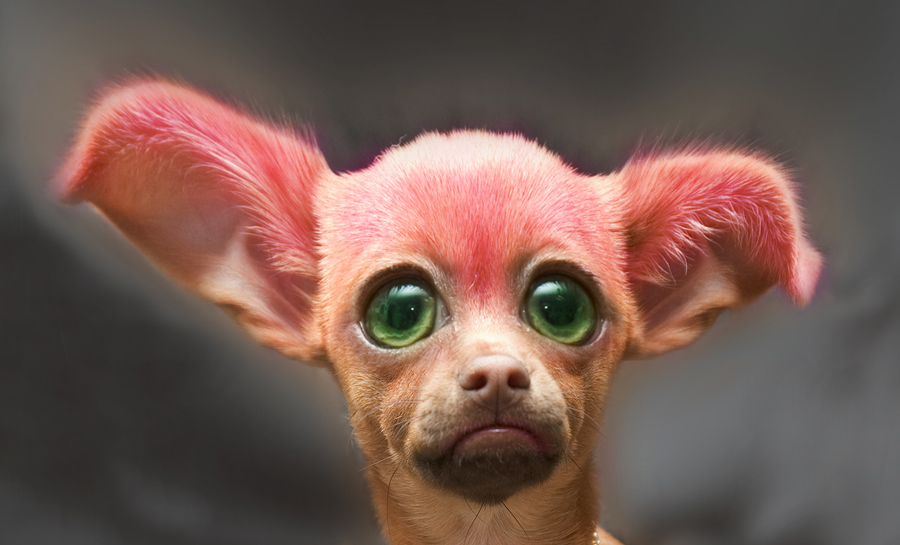 Photoshop-Design von katmgck für DesignCrowd (Community Contests) | Design #9037475