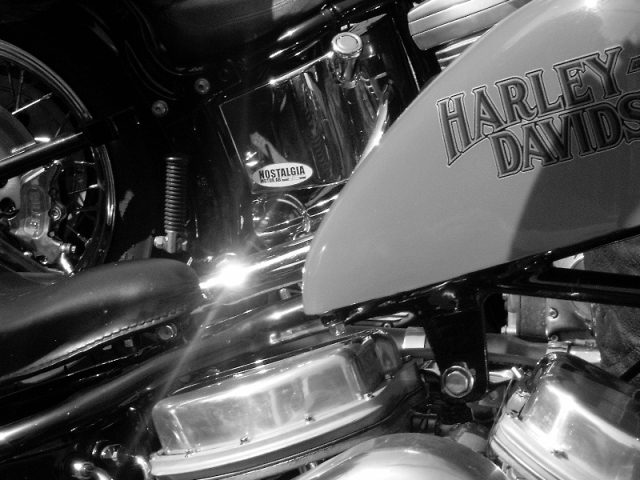 Photography by adrill for DesignCrowd (Community Contests) | Design #9038228