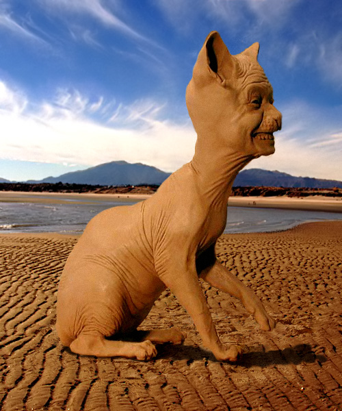 Design Photoshop par TheBlackMamba pour DesignCrowd (Community Contests) | Design #9041952