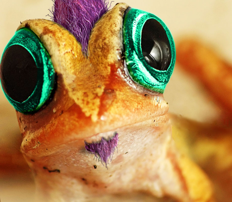 Design Photoshop par Elinorthen pour DesignCrowd (Community Contests) | Design #9037713