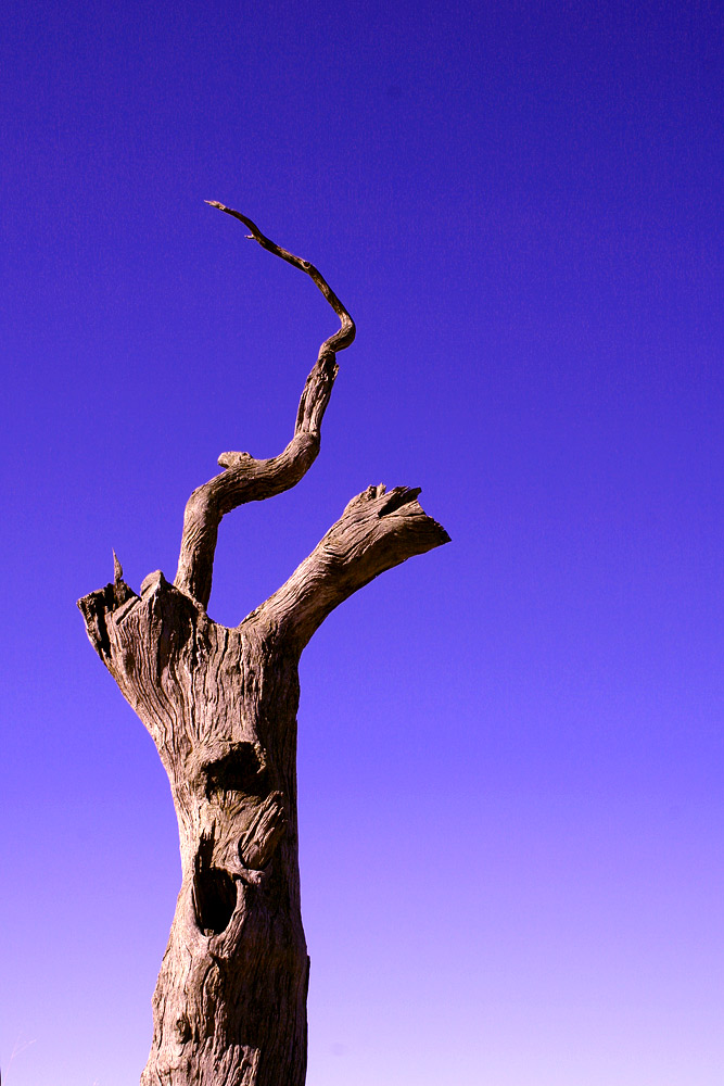 Photography by Budmulla for DesignCrowd (Community Contests) | Design #9037255
