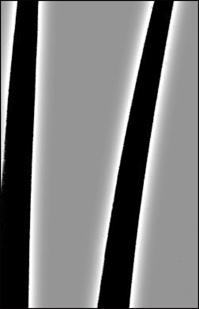 Fotografie von droomluiperd für DesignCrowd (Community Contests) | Design #9037370