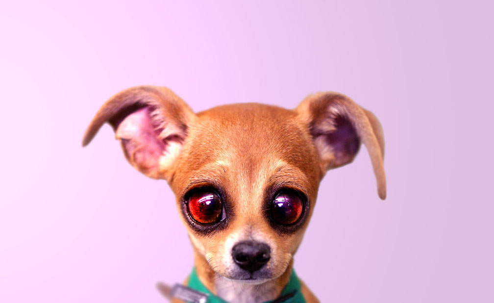 Photoshop-Design von mdazman für DesignCrowd (Community Contests) | Design #9038459