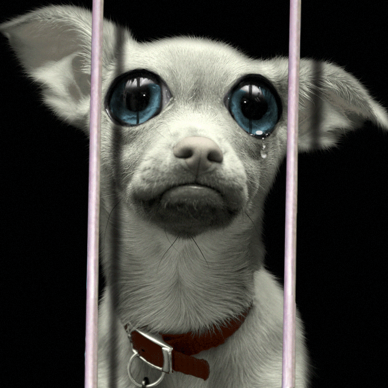 Diseño de Photoshop por paranoidelusion para DesignCrowd (Community Contests) | Diseño #9038464